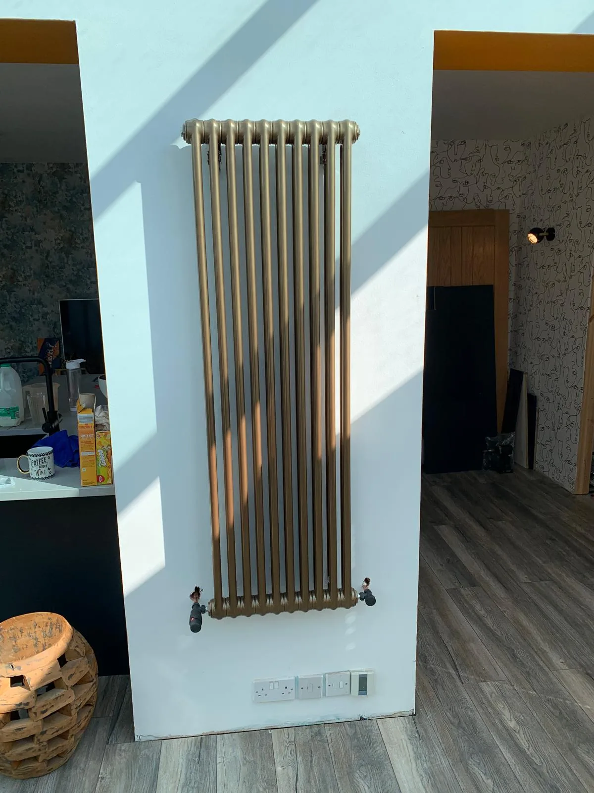 Recent project