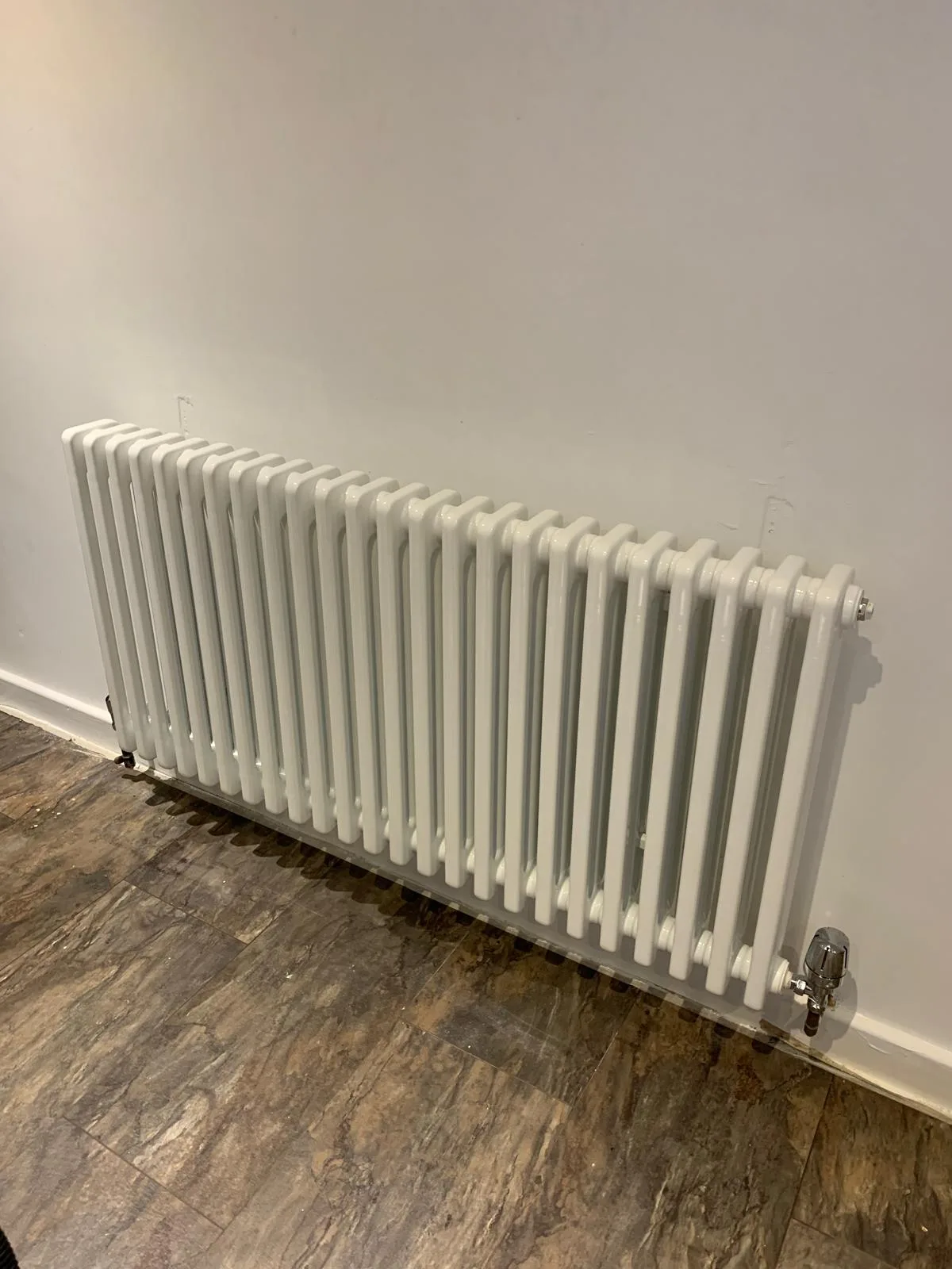 Recent project